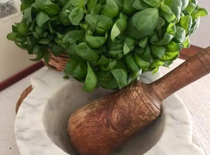 Verde Basilico